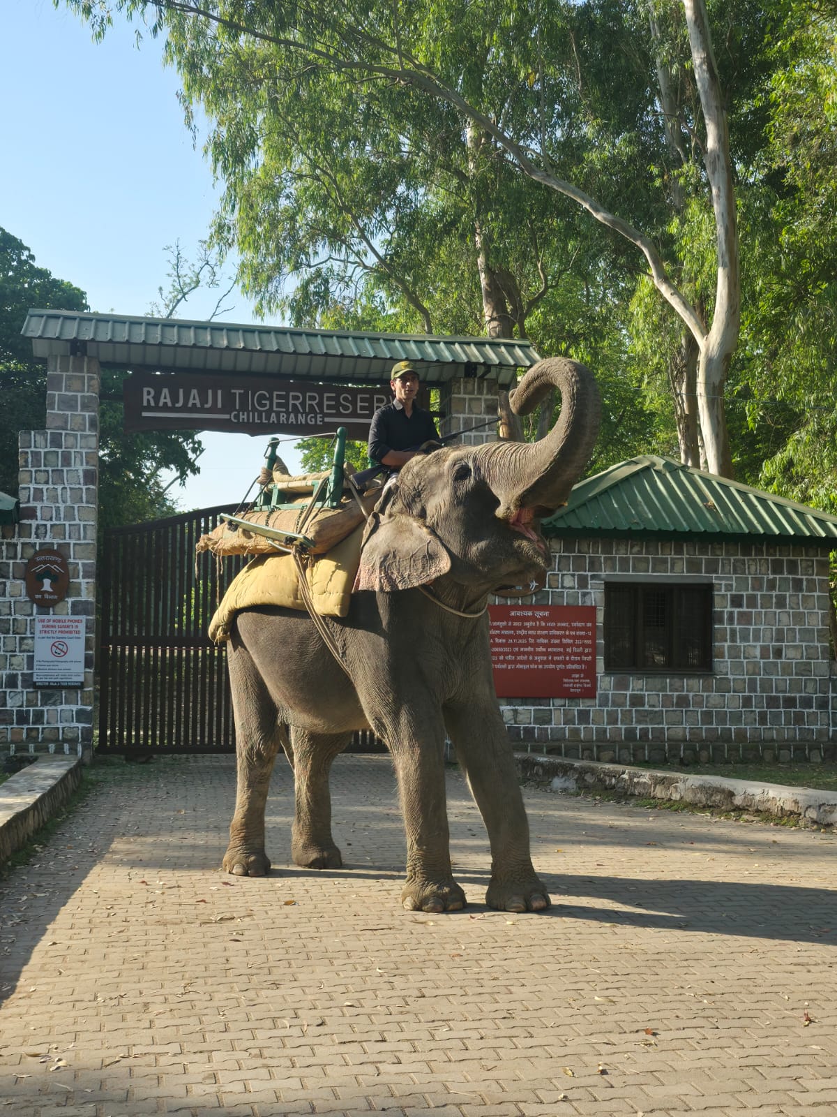 Chilla Safari Zone (Premier Tiger & Elephant Gate)