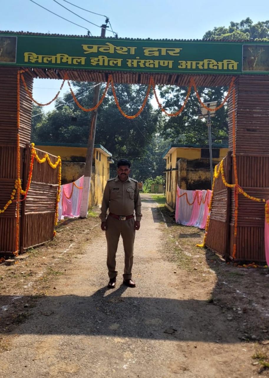 Jhilmil Zone Gate (Tiger, Elephant, Barasingha & Wildlife)