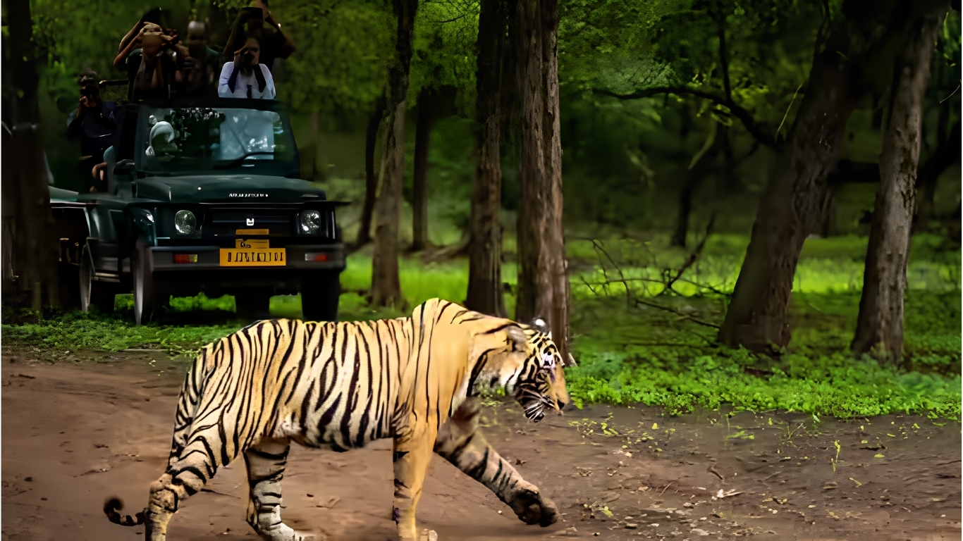 Which Rajaji Zone Is Best to Visit?